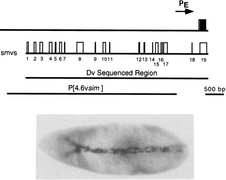 FIG. 6