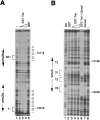 FIG. 8