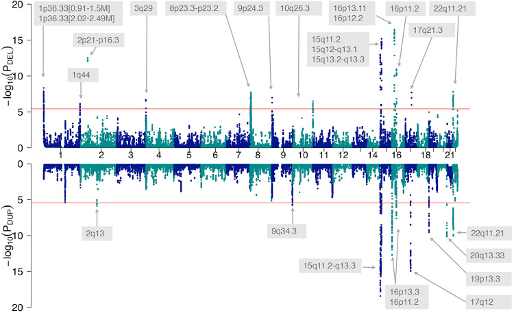 Genome-wide identification and phenotypic characterization of seizure ...