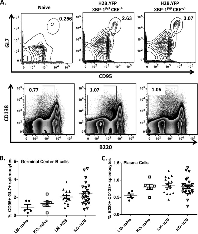 FIG 2