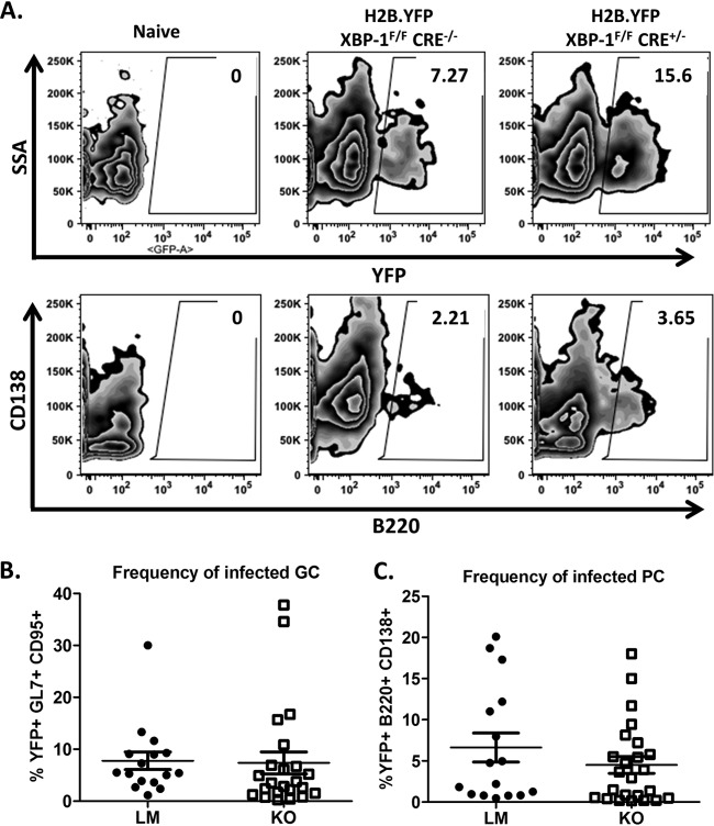 FIG 6