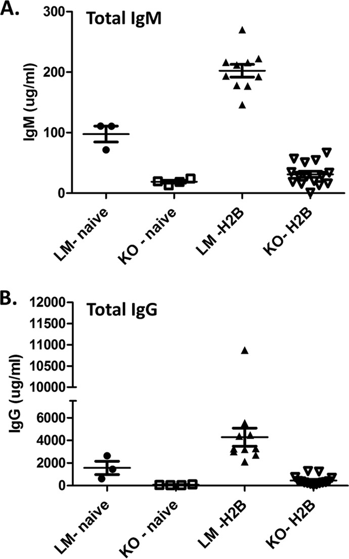 FIG 3