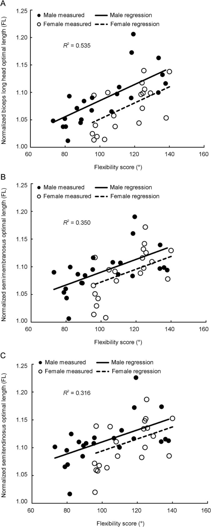 Fig. 3