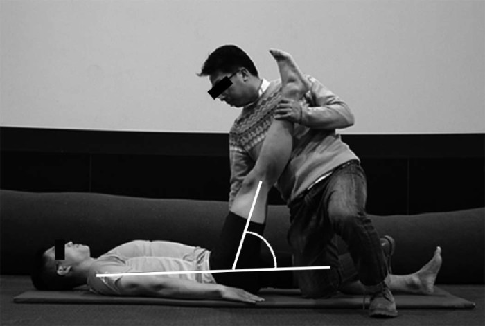 Fig. 1
