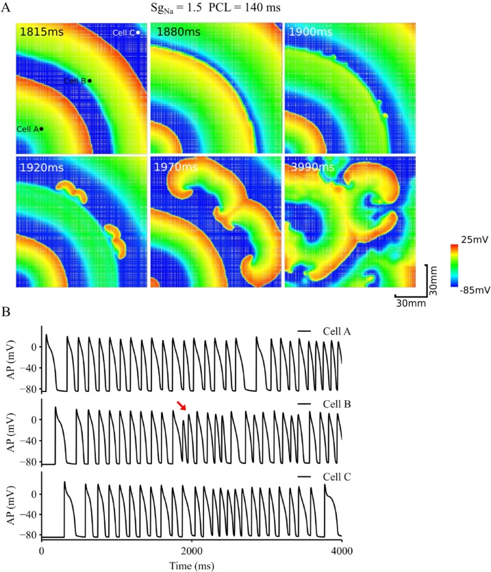 Fig 7