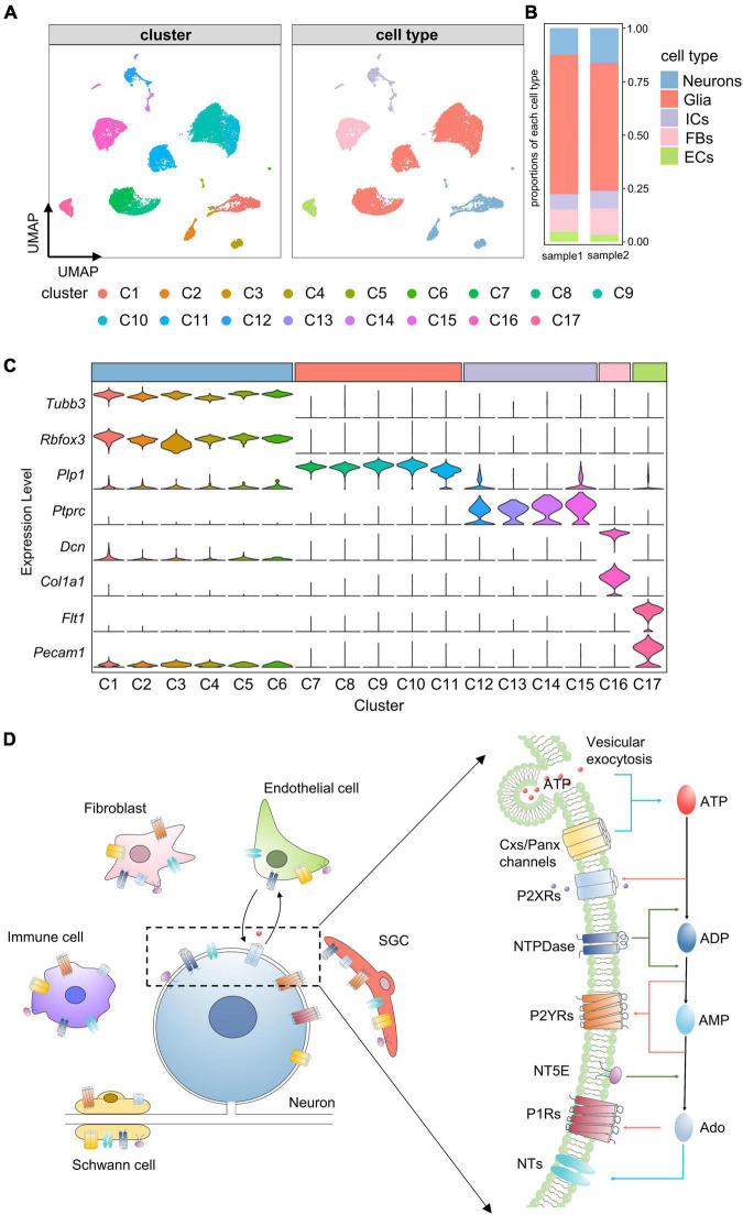 FIGURE 1