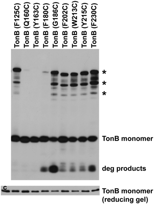 FIG 2 