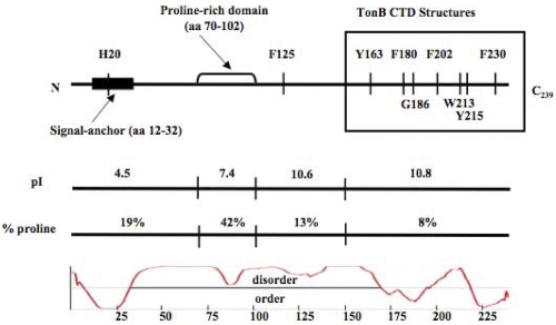 FIG 3 