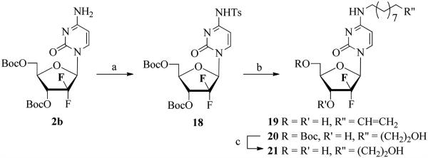 Scheme 3