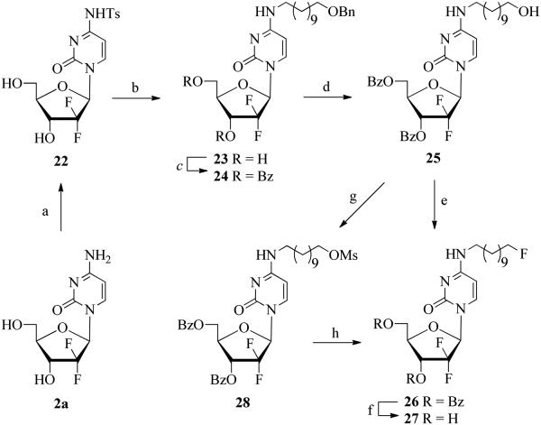 Scheme 4