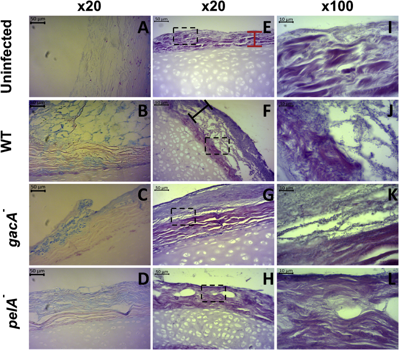 Fig. 4