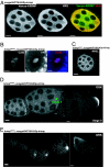 Fig. 3.