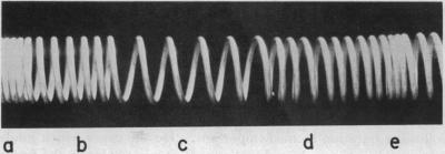 graphic file with name pnas00712-0046-a.jpg