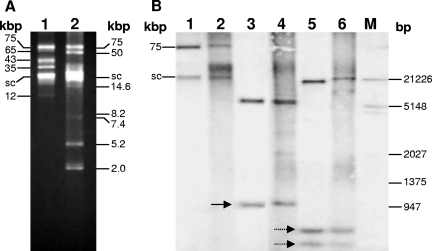 FIG. 4.