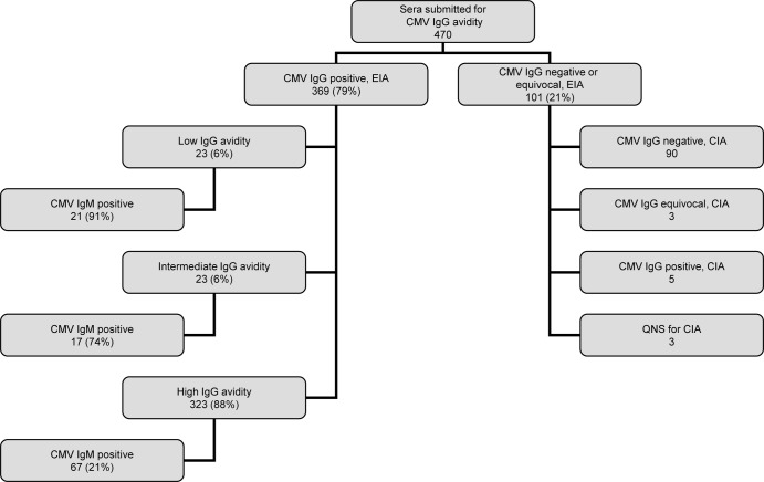 Performance of a Cytomegalovirus IgG Enzyme Immunoassay Kit Modified To ...