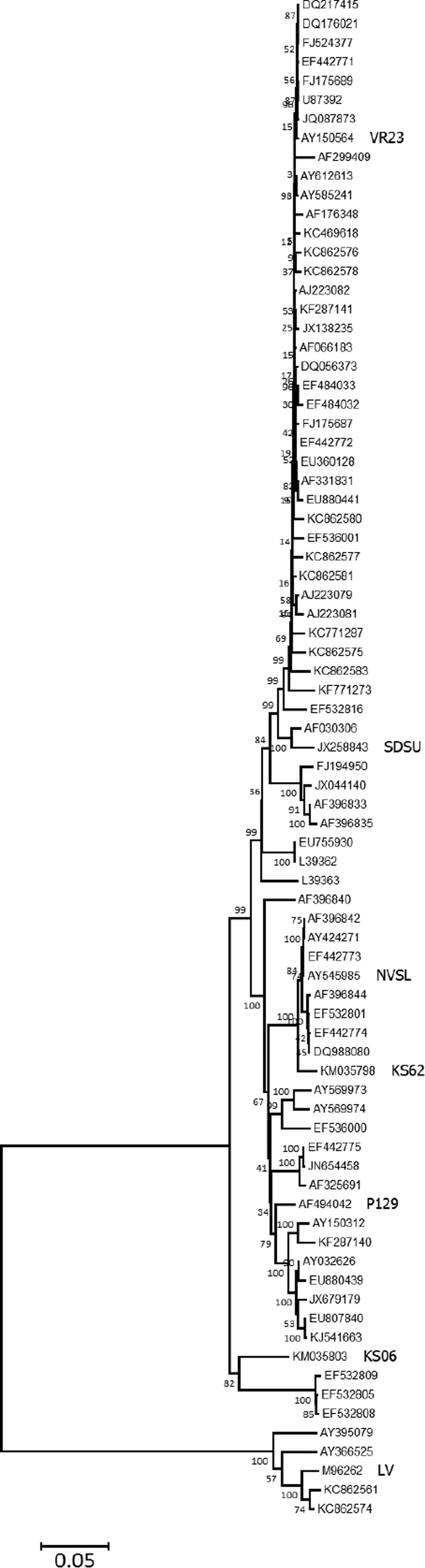 FIG 1