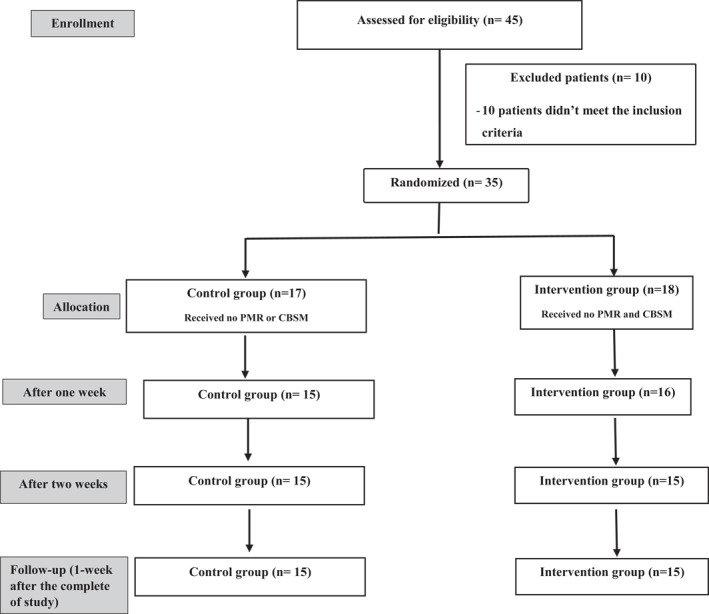 FIGURE 1