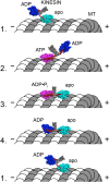 Fig. 2