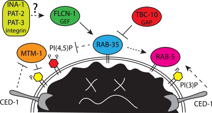 Fig 1