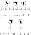 FIG 3