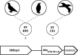 FIG 5