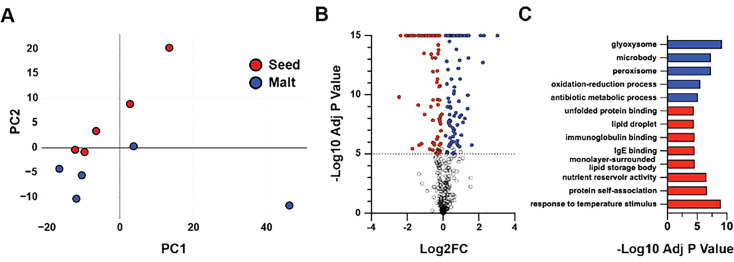 Figure 7