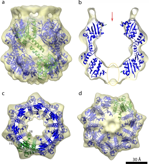 FIGURE 2.