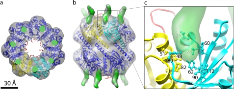 FIGURE 4.