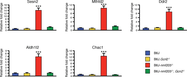 Figure 3—figure supplement 2.