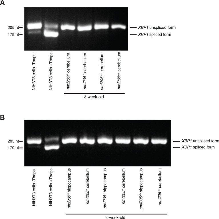 Figure 3—figure supplement 1.