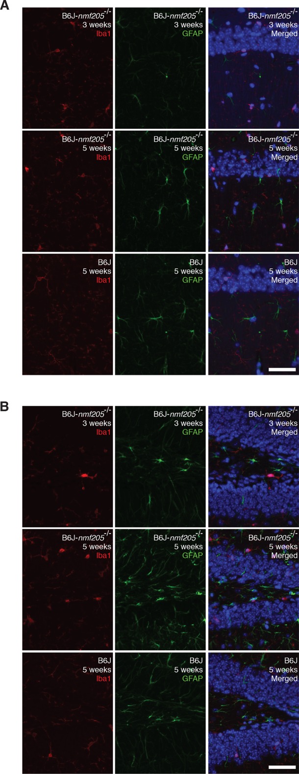 Figure 1—figure supplement 4.