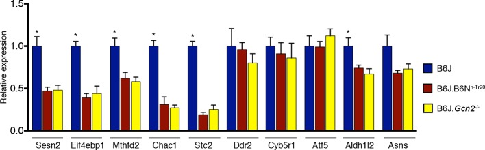 Figure 3—figure supplement 4.