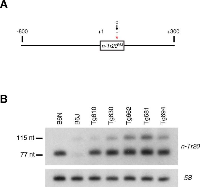 Figure 4—figure supplement 1.