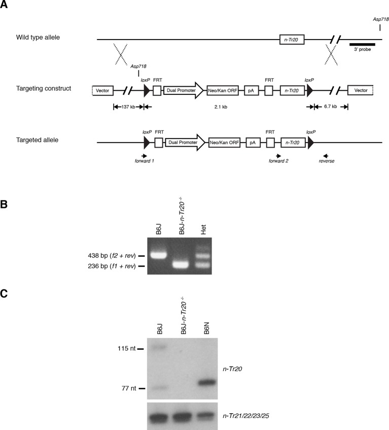 Figure 4—figure supplement 2.