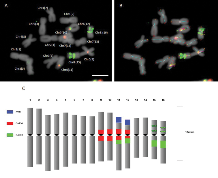 Figure 3.