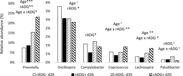 Fig 5