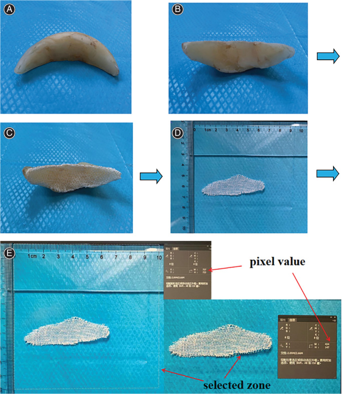 Fig. 3