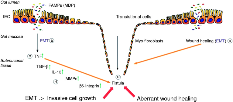 Figure 5