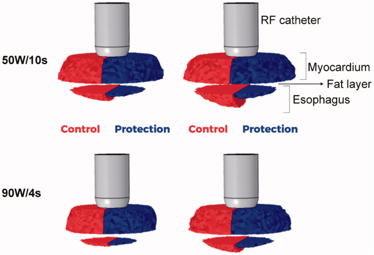 Figure 3