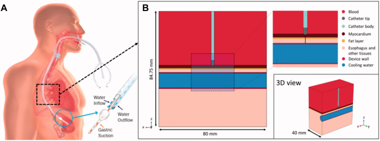 Figure 2