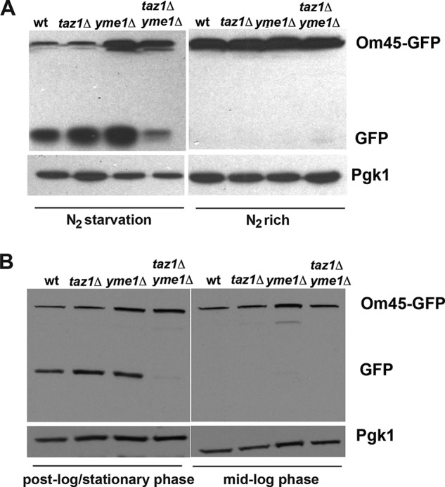 FIGURE 7.