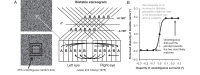Figure 1.