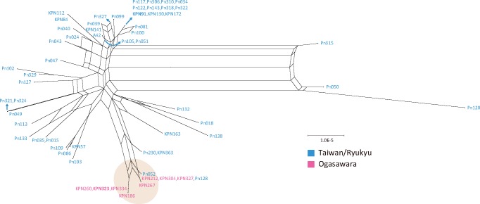 Fig. 5.