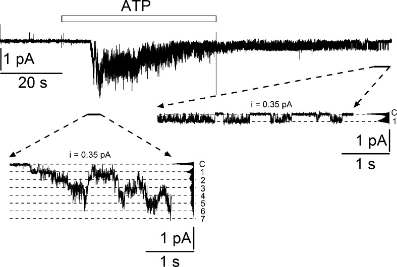 Figure 6.