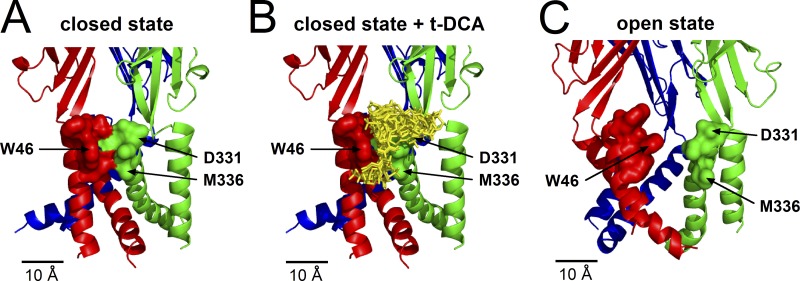 Figure 10.