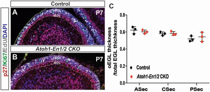 Figure 1—figure supplement 2.