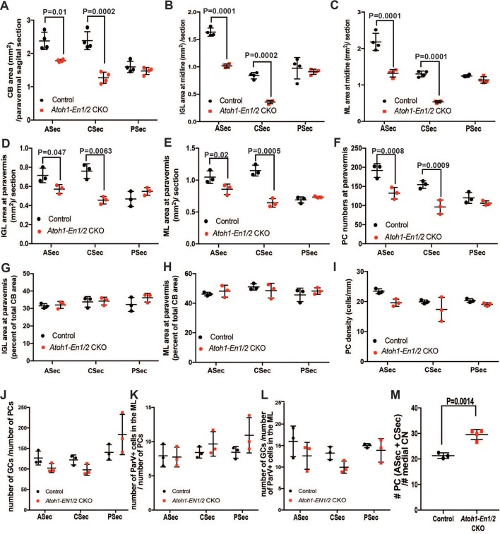 Figure 1—figure supplement 1.