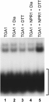 Figure 6.