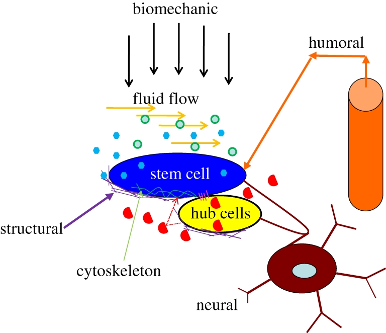 Figure 1.