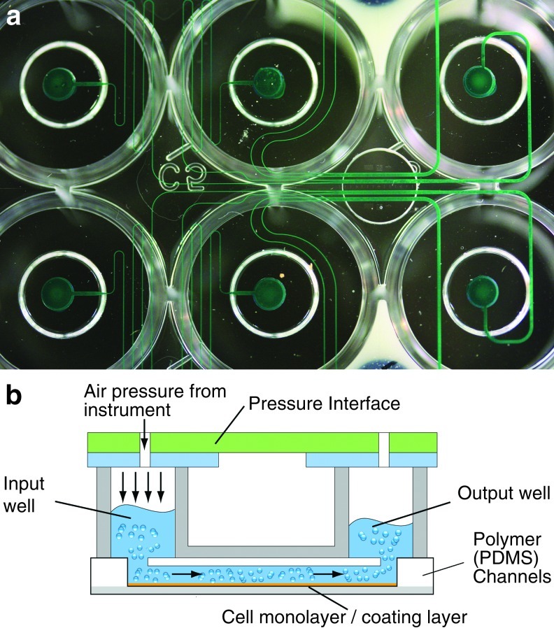 FIG. 1.